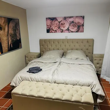 Rheinoase Mit Garten Fuer Familien & Gruppen Appartement *