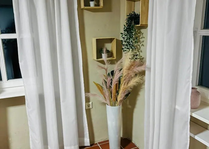 Rheinoase Mit Garten Fuer Familien & Gruppen *