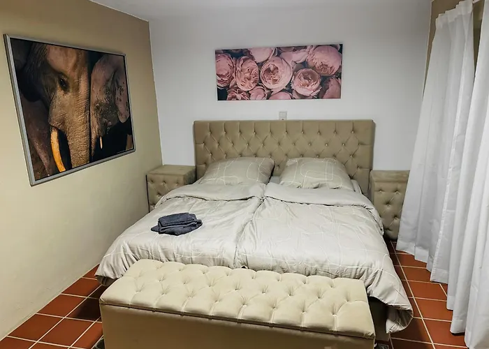 Rheinoase Mit Garten Fuer Familien & Gruppen Appartement *