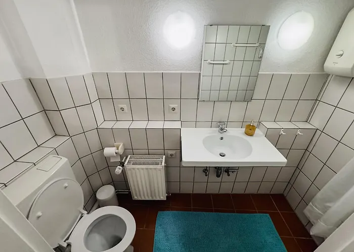 Rheinoase Mit Garten Fuer Familien & Gruppen Appartement Coblence